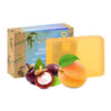 Apricot and Kokum Oil: Natural Handmade Soap
